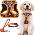 PUPTECK Dog Harness, Collar and Leash Set No Pull for Small Medium Sized | Halloween Puppy Step-in Escape Proof Reflective No Choke Pet Cat Adjustable Walking Vest by PUPTECK