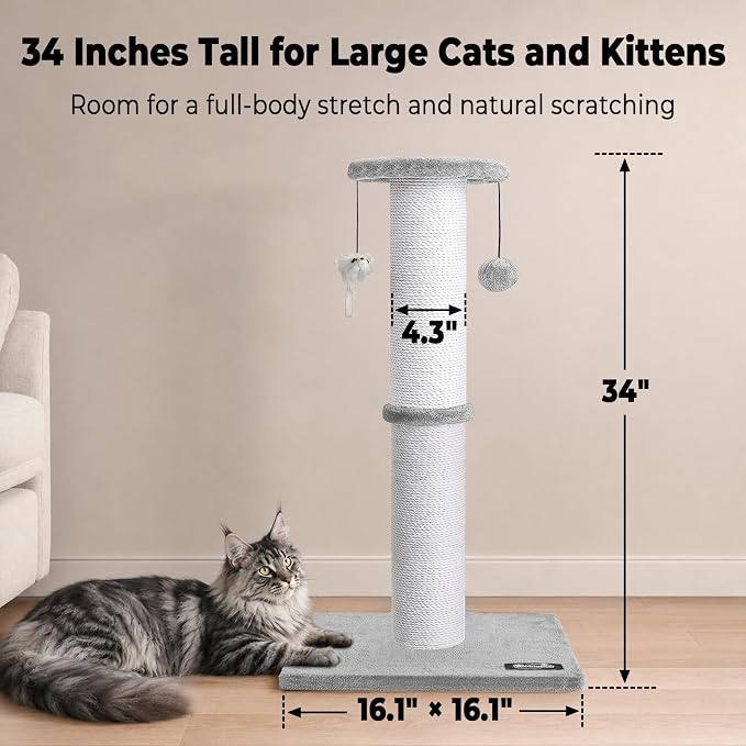34"Tall Cat Scratching Post for Large Cats, Stable Base, Light Gray | Heavy-Duty Cat Scratcher, Extra-Tall Thick Post, Soft Natural Cotton Rope, Hanging Interactive Cat Toys, Indoor Cat Furniture - Image 2