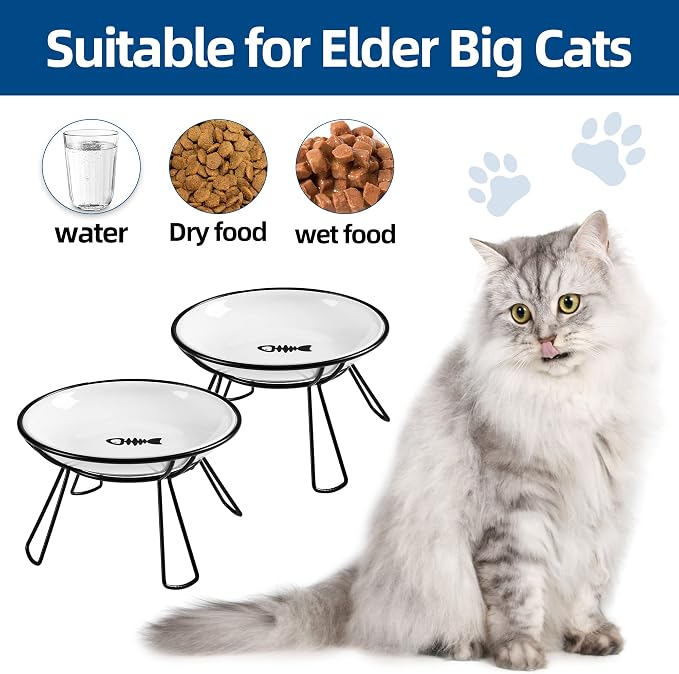 Cat Bowls, Elevated Bowl, Raised Ceramic Dish with Metal Stand, Pet Water or Food Feeding Station for Indoor Cats, Kitten, Puppies and Small Dogs(2 Pack) - Image 3