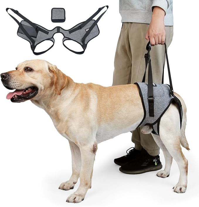CNEO Dog Lift Harness - Adjustable Support for Medium Large Dogs, Comfortable Design with Padded Back Legs for Elderly, Injured, Arthritic, Senior, Disabled Dogs by CNEOForthebestForthepet