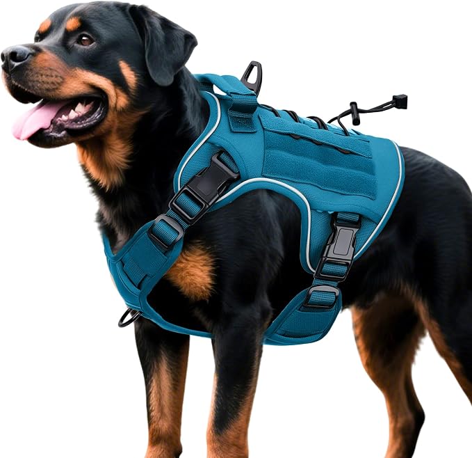 Heavy-Duty Tactical Dog Harness for Large Dogs, No Pull Adjustable Reflective Pet Vest with Molle System, K9 Military-Grade Control for Service Training, Outdoor & 10+ Breeds, Blue, X-Large by Bruvoalon