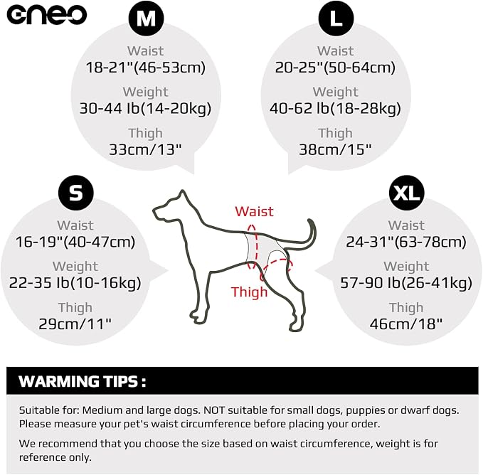 CNEO Dog Lift Harness, Dog Sling for Medium Large Dogs, Adjustable Dog Support Harness for Back Legs, Comfy Design Pet Harness with Padded for Elderly, Injured, Arthritic, Senior, Disabled Dogs - Image 5