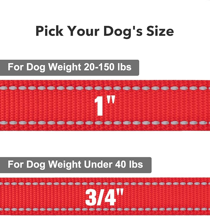 Taglory Reflective Dog Leash for Small Dogs, 3/4in x 6ft, Red | Ideal for Night Walking, Strong for Sudden Pulls, Lightweight & Gentle on the Neck, Soft Padded Handle - Image 4