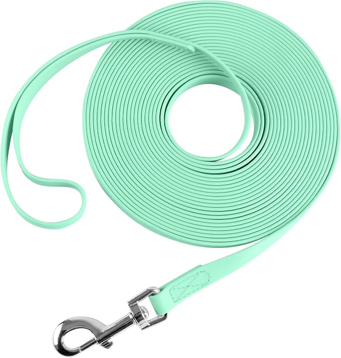 Waterproof Long Leash Durable Dog Recall Training Lead Great for Outdoor Hiking, Training, Yard, Beach and Swimming (Light Green, 15ft) by Qiaosite
