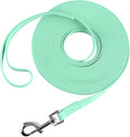 Waterproof Long Leash Durable Dog Recall Training Lead Great for Outdoor Hiking, Training, Yard, Beach and Swimming (Light Green, 15ft) by Qiaosite