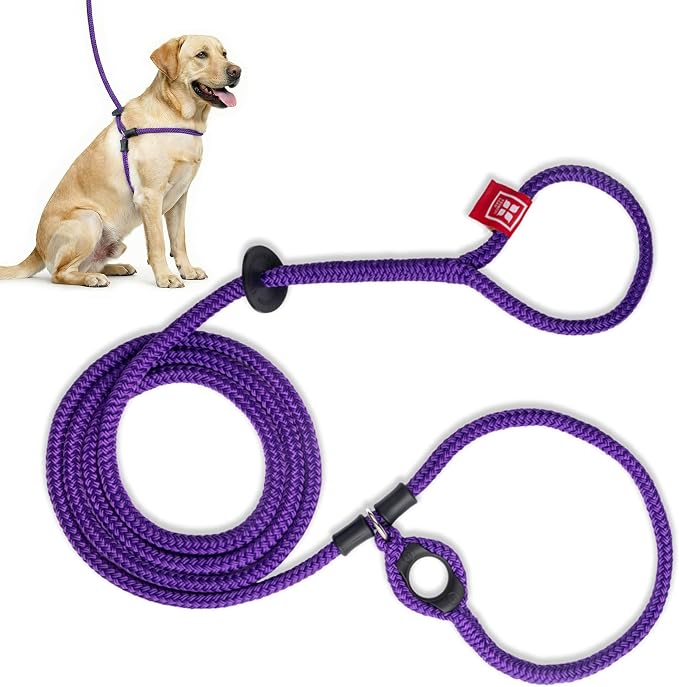 Harness Lead No Pull Dog Harness and Leash Set, Anti Pull Dog Harness, One-Piece Cushioned Rope Safely Prevents Escaping and Pulling (Medium/Large, Purple) by HarnessLead