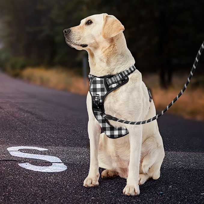 IVY&LANE No Pull Dog Harness with Leash Set, Reflective No Choke Pet Vest,Adjustable Oxford Dog Vest Harness with Easy Control Handle for Large Dogs (Checkered Black,XL) - Image 7