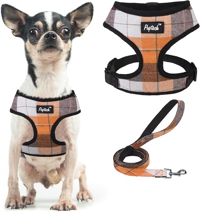 PUPTECK Small Dog Harness and Leash Set No Pull for XS XXS Sized Dogs Puppy | Escape Proof No Choke Pet Cat Adjustable Soft Padded Walking Vest by PUPTECK