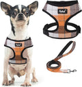 PUPTECK Small Dog Harness and Leash Set No Pull for XS XXS Sized Dogs Puppy | Escape Proof No Choke Pet Cat Adjustable Soft Padded Walking Vest by PUPTECK