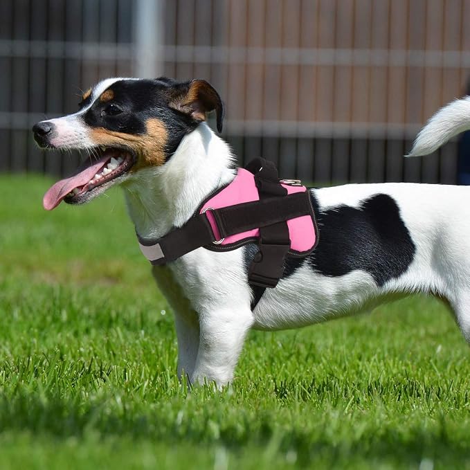 Dog Harness, No-Pull Reflective Dog Vest, Breathable Adjustable Pet Harness with Handle for Outdoor Walking - No More Pulling, Tugging or Choking (Pink, L) - Image 4