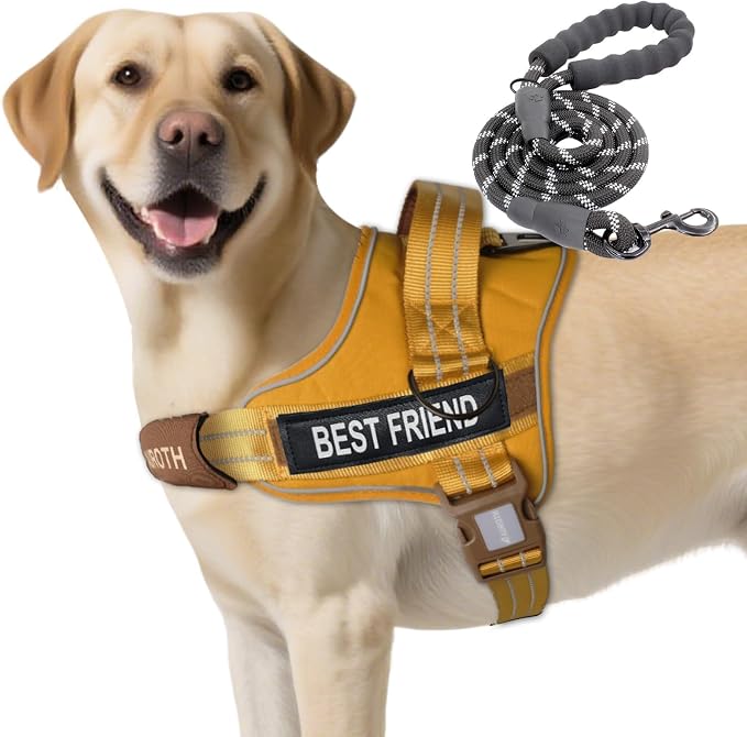 AUROTH Dog Harness and Leash Set for Large Sized Dog, No Pull Dog Vest | with Leash Clips, LED light clip, Soft Padded No Choke, Escape Proof, Easy Walking and Training, Turmeric-, XL - Image 8