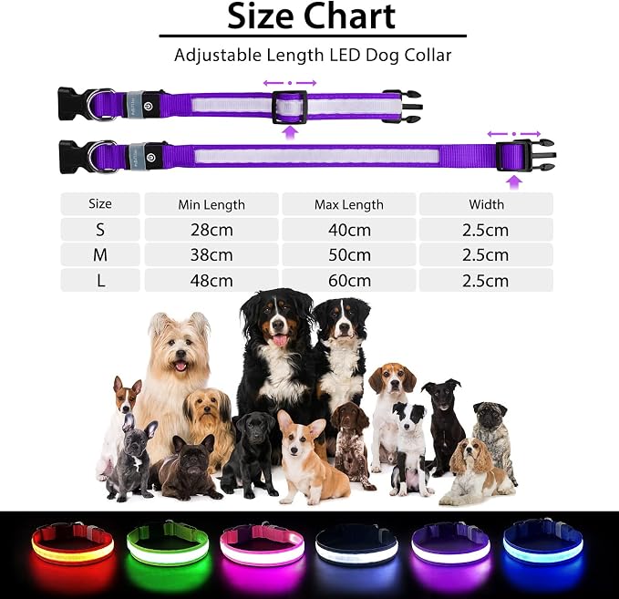 PcEoTllar Light up Dog Collar, for Night Walking, Adjustable, Purple, L | Colorful RGB Light, Waterproof, For Small Medium and Large Dogs, Durable Material, USB to Charge - Image 6