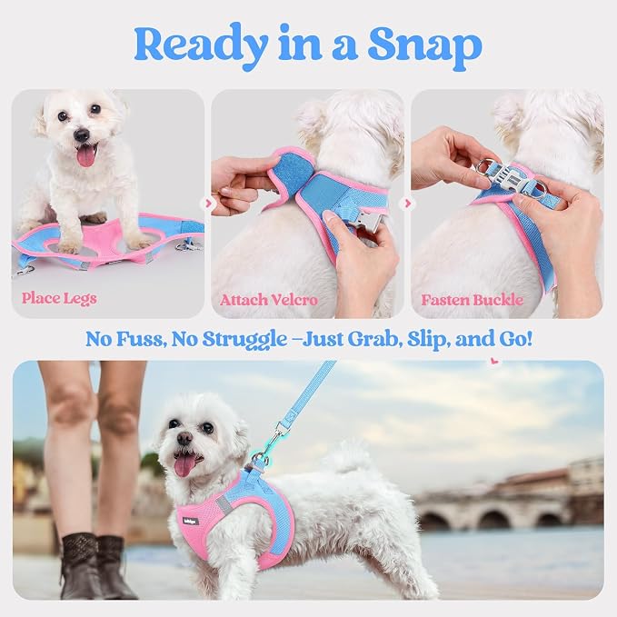 rabbitgoo Dog Harness Small Sized and Leash Set, Step-in Puppy Pet Vest | Light, Soft, Breathable Air Mesh, Easy on and Remove with Hook & Loop, Secure Reflective for Walking, Blue & Light Pink XXXS - Image 8