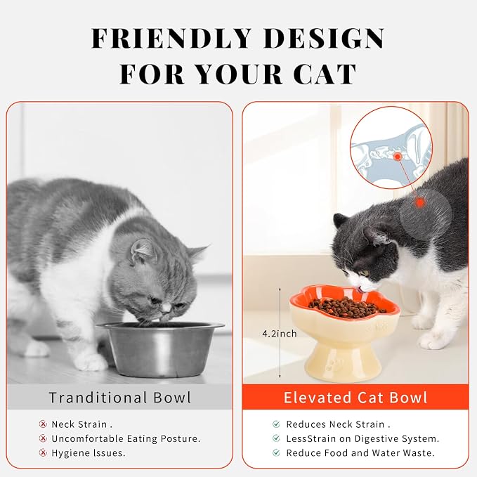 S&Q's CERAMICS Raised Slow Feeder Cat Bowl, Ceramic Glass Elevated Pet Food Bowl Small Dogs Slow Feeder, Flower Shaped Cute Dish for Dry and Wet Food (Orange, 5.8") - Image 5