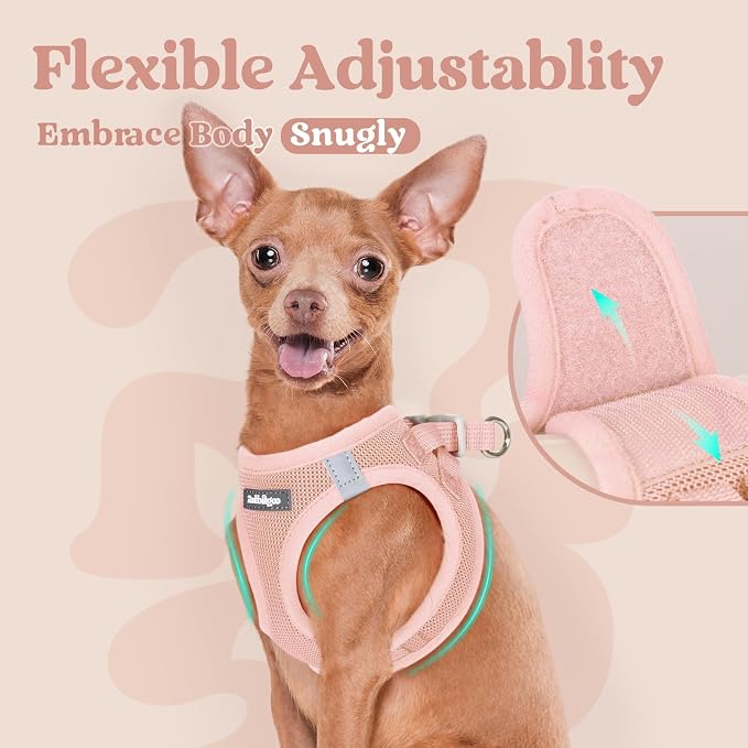 rabbitgoo Step-in Small Dog Harness, Puppy Vest for Small Medium Sized Pet | Easy Put on and off, Lightweight, Soft, Breathable Quick-Dry Air Mesh for Comfortable Secure Walking, Pink XL - Image 6