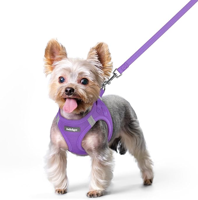 rabbitgoo Dog Harness Small Sized and Leash Set, Step-in Puppy Pet Vest | Light, Soft, Breathable Air Mesh, Easy on and Remove with Hook & Loop, Secure Reflective for Walking, Purple XS by rabbitgoo