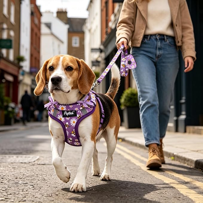 PUPTECK Dog Harness and Leash Set Medium Sized, Step in No Pull Adjustable Puppy Cat Harness Reflective Pet Vest - Image 6