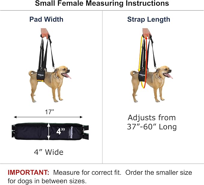 Dog Rear Sling Support Harness, SM Female, Machine Wash & Dry | Fits Small to Medium Size Dogs or Larger Barrel-Chested Breeds like Boxers, Bullies. Padded, Integrated Leash. Made in U.S.A. - Image 2