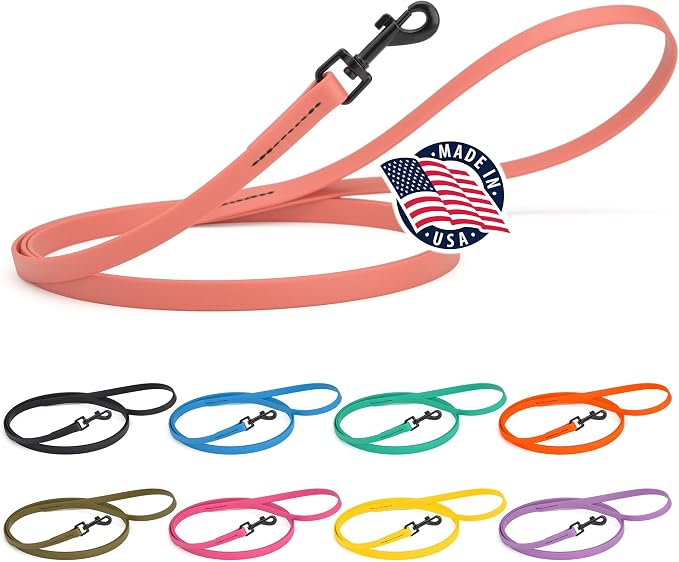 Dogline Biothane Waterproof Dog Leash Strong Coated Nylon Webbing with Black Hardware Odor-Proof Easy to Clean High Performance for Small or Large Dogs Made in USA 4 or 6 ft Lead, Coral by Dogline