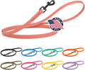 Dogline Biothane Waterproof Dog Leash Strong Coated Nylon Webbing with Black Hardware Odor-Proof Easy to Clean High Performance for Small or Large Dogs Made in USA 4 or 6 ft Lead, Coral by Dogline