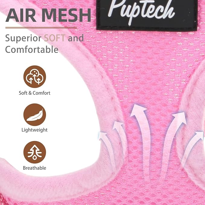 PUPTECK Small Dog Harness and Leash Set No Pull for XS XXS Sized Dogs Puppy | Escape Proof No Choke Pet Cat Adjustable Soft Padded Walking Vest - Image 2
