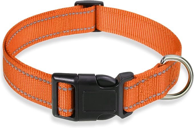 Reflective Dog Collar with Buckle Adjustable Safety Nylon Collars for Small Medium Large Dogs, Orange M | No Chafing on Walks and Outdoor Hikes, Metal D-Ring, Night Safety by BOOMIBOO