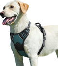 Eagloo Dog Harness for Large Dogs, No Pull Pet Vest with 2 Leash Clips | No Choke with Handle, Adjustable Comfort Fit, Reflective Strips, Easy Walking Control, Dark Green, Large by GoExplorewithEagloo