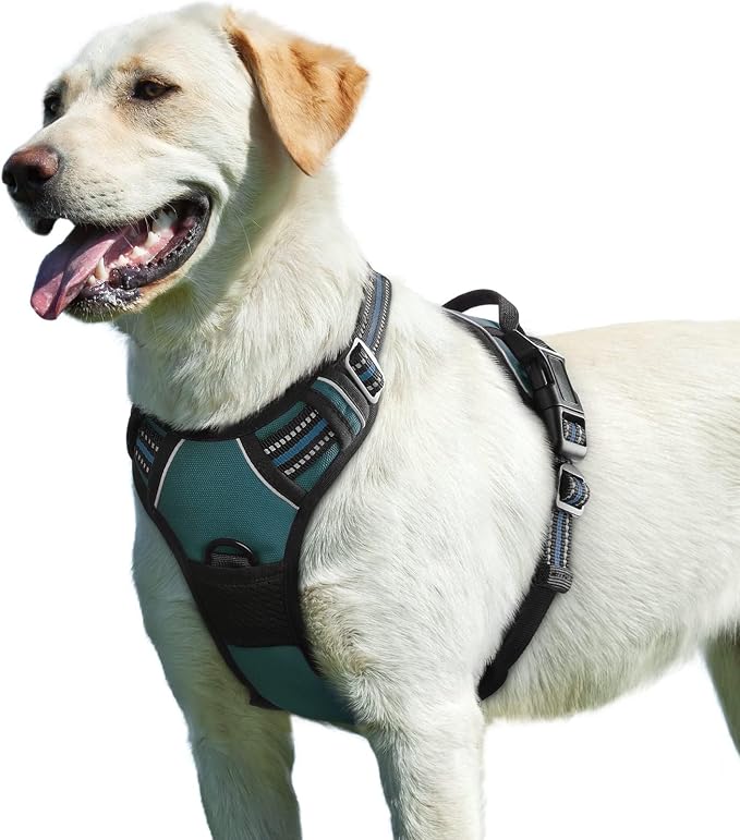 Eagloo Dog Harness for Large Dogs, No Pull Pet Vest with 2 Leash Clips | No Choke with Handle, Adjustable Comfort Fit, Reflective Strips, Easy Walking Control, Dark Green, Large by GoExplorewithEagloo
