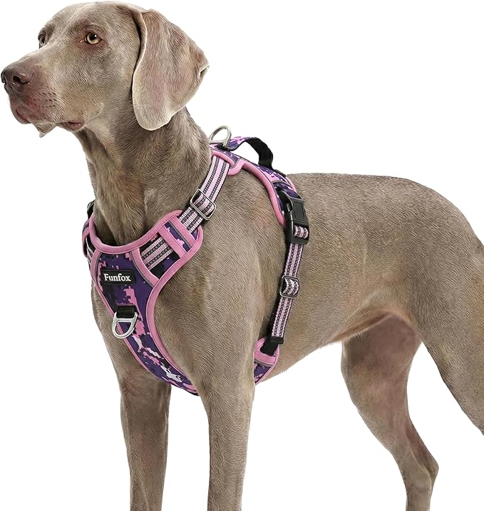 Dog Harness No Pull, Adjustable Pet Vest Harness, Super Soft Material with Vertical Handle Easy Control, Reflective Night Walking, 2 Leash Clips for XLarge Dogs, Mosaic Pink, XL by MyFUNFOX