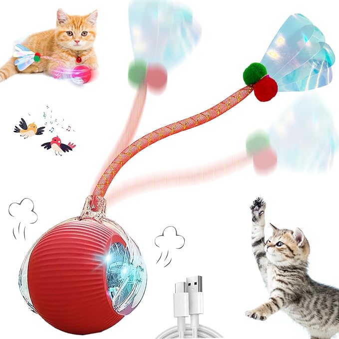 Speedy 2.0 Tail Interactive Cat Toys for Indoor Cats, Automatic Cat Toy with Elastic Mesh Tail, Electric Rolling Ball on Carpet, Chirping and Motion Activate Cat (Red) by Unknown