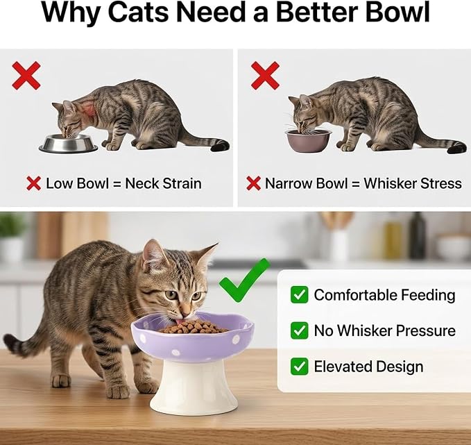Elevated Ceramic Cat Bowls Set of 2, Mushroom Raised Wide & Shallow Cat Food and Water Bowls, Whisker Friendly Feeding Bowls for Cats & Small Dogs (Purple+Blue) - Image 4