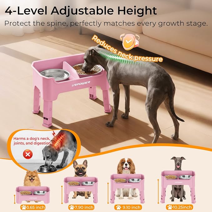 URPOWER Mess Proof Elevated Dog Bowls, Splash Guard Raised Bowl Stand | 4 Adjustable Heights, 2 Stainless Steel Bowls, Food & Water Separation, Non-Slip Base, Foldable Design for Small Dogs - Image 3