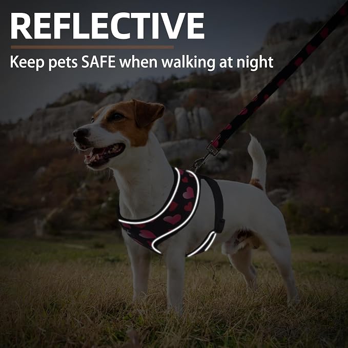 PUPTECK Small Dog Harness and Leash Set No Pull for XS XXS Sized Dogs Puppy | Escape Proof No Choke Pet Cat Adjustable Soft Padded Walking Vest - Image 6