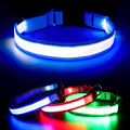 Visinite Light Up Dog Collars for Small Medium Large Dogs, Fully Adjustable LED Dog Collar USB Rechargeable, 3 Glowing Modes Pet Dog Collar, Lighted Dog Collars for Night Walking Safety by Visinite
