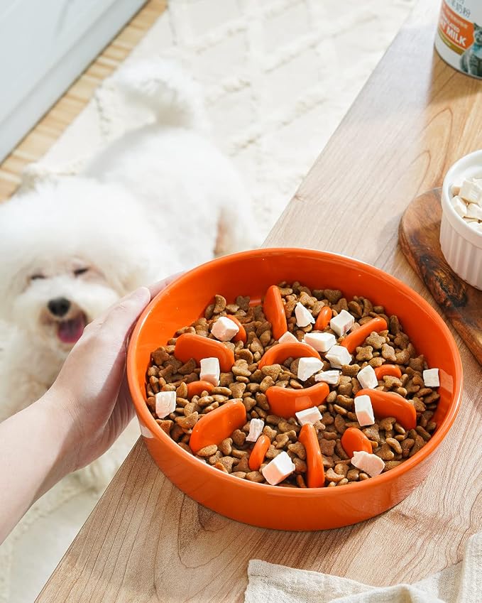 LE TAUCI Dog Bowls Slow Feeder Ceramic, 1.5 Cups Slow Feeding Dog Bowl Small Medium Breed, Puppy Bowl for Fast Eaters, Sun Orange - Image 2