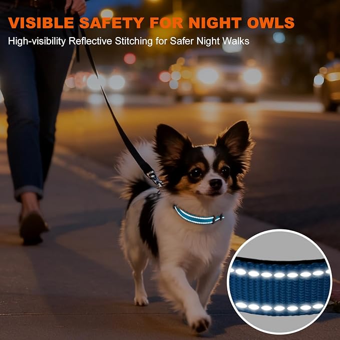 Taglory Reflective Dog Collar for Puppies, Gentle and Safe for Night Walks | Night-Walk Visibility, Soft Neck Cushioning, Adjustable 8-12 in, Locking Buckle, D-Ring for Leash and ID Tags - Image 5