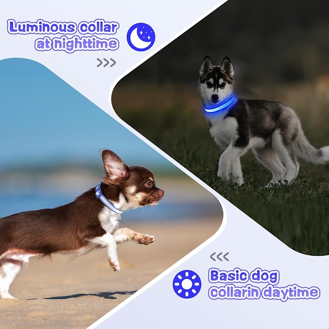 LED Light Up Dog Collar for Night Safety Walks, Blue, S | USB rechargeable, waterproof & pet-safe, 3 lighting modes, long-lasting glow, adjustable S/M/L, soft comfy daily walk fit - Image 4