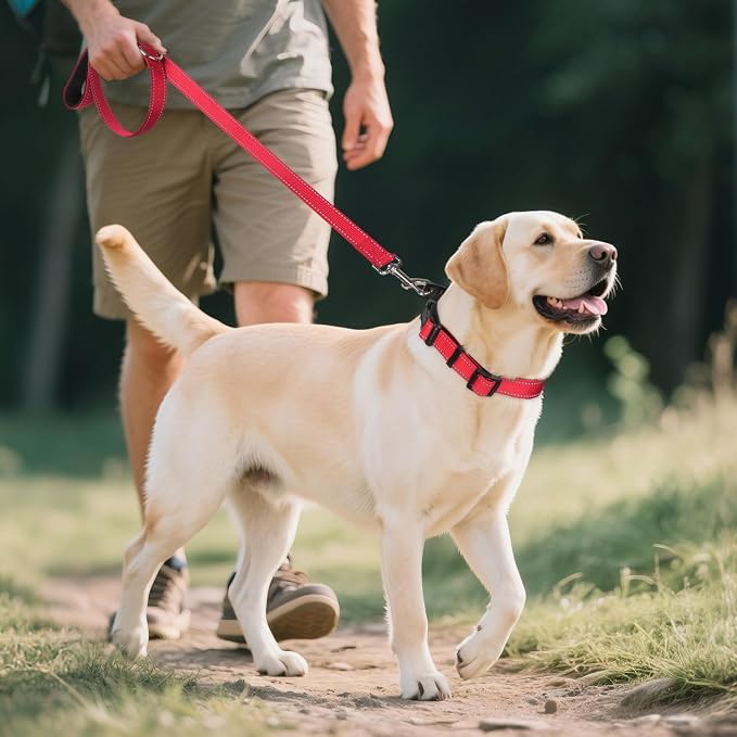 Joytale Reflective Dog Collar, Adjustable Neoprene Padded, Red L | Breathable Nylon for Large Dogs, No Chafing on Walks and Outdoor Hikes, Tear-Resistant Webbing, Metal D-Ring, Night Safety - Image 6