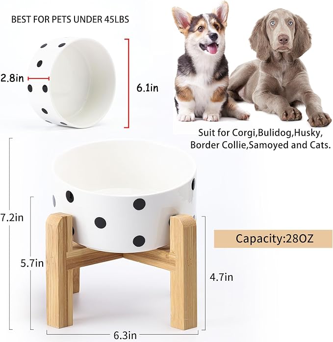 Petygooing Elevated/Raised 15°Slanted Ceramic Dog Bowl for Small and Medium Breeds, Tilted Anti Slip Pet Feeding Bowl,Food Water Dish with Stand for Cats and Dogs (28 OZ/3.6 Cups) Black Dot - Image 3