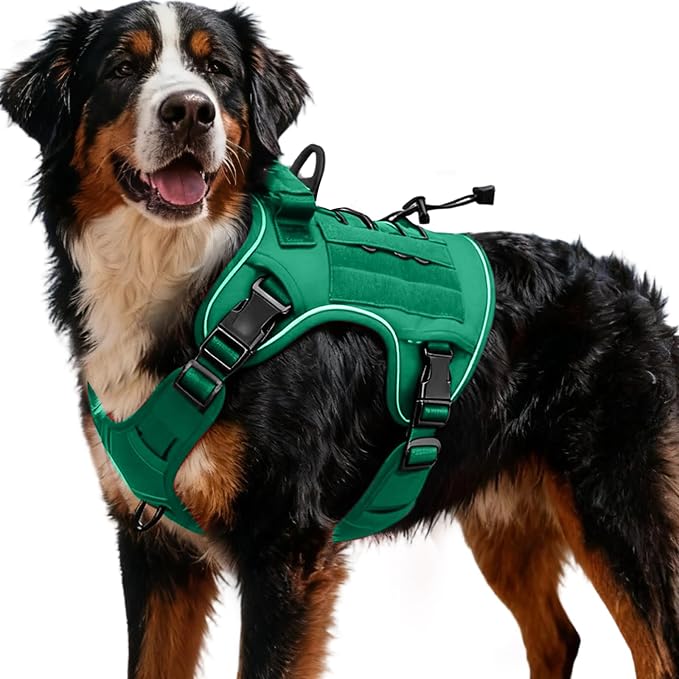 Heavy-Duty Tactical Dog Harness for Large Dogs, No Pull Adjustable Reflective Pet Vest with Molle System, K9 Military-Grade Control for Service Training, Outdoor & 10+ Breeds, Turquoise, XX-Large by Bruvoalon
