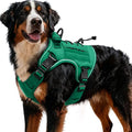 Heavy-Duty Tactical Dog Harness for Large Dogs, No Pull Adjustable Reflective Pet Vest with Molle System, K9 Military-Grade Control for Service Training, Outdoor & 10+ Breeds, Turquoise, XX-Large by Bruvoalon