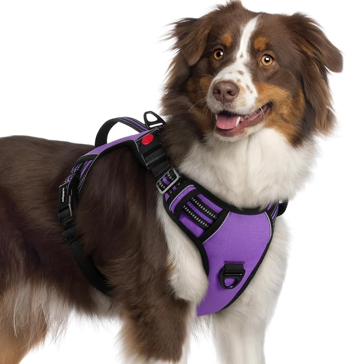 rabbitgoo Large Dog Harness, Easy Wear with 3 Buckles and Lift Handle | No Pull with Front Clip for Walking, Adjustable Soft Padded, Reflective, Easy Control, Purple, X-Large by rabbitgoo