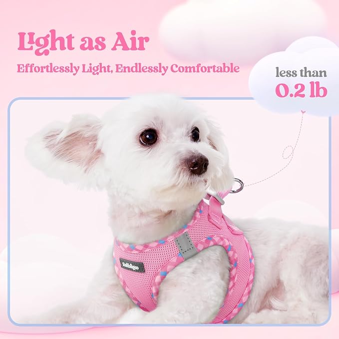 rabbitgoo Dog Harness Small Sized and Leash Set, Step-in Puppy Pet Vest | Light, Soft, Breathable Air Mesh, Easy on and Remove with Hook & Loop, Secure Reflective for Walking, Pink & Plaid Trim XS - Image 4