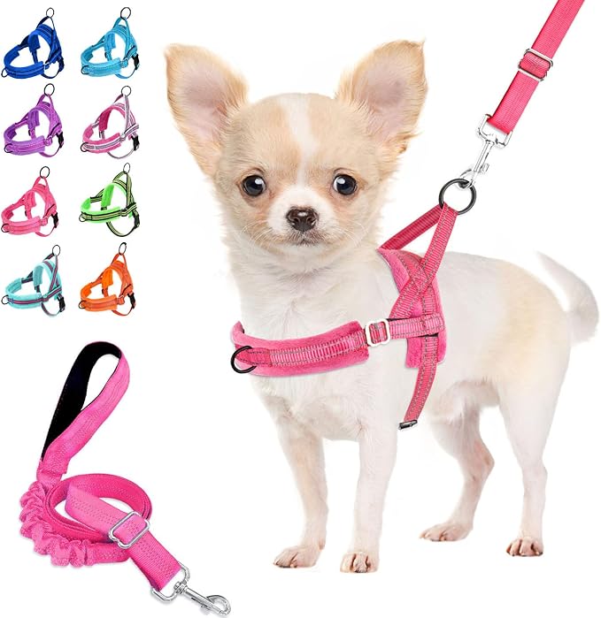 Lukovee Small Dog Harness and Leash Set, No Pull Soft Padded Vest | Both Neck & Chest Adjustable, Reflective, Puppy Harness with 4ft Lightweight Anti-Twist Dog Leash for Small Dogs (Pink, XXS) by Lukovee