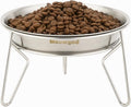 Elevated Cat Bowls,6.7" Extra Wide Raised Stainless Steel Cat Food Bowls with Anti-Slip Metal Stand Whisker Friendly Water Dishes for Indoor Cats and Small Dogs-1pack by Meowgod