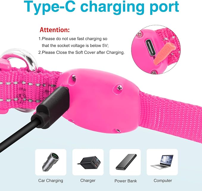 Light Up Dog Collar, Rechargeable USB Collar, Waterproof, Luminous LED Collar, Adjustable, Super Bright, Night Walking for Small Medium Large Dogs, Pink, S - Image 4