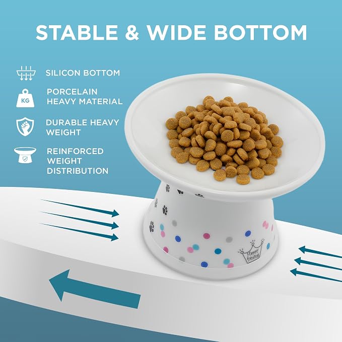 Necoichi Ceramic Raised Cat Food Bowl (Colorful Dots, Large Extra Wide) - Image 7