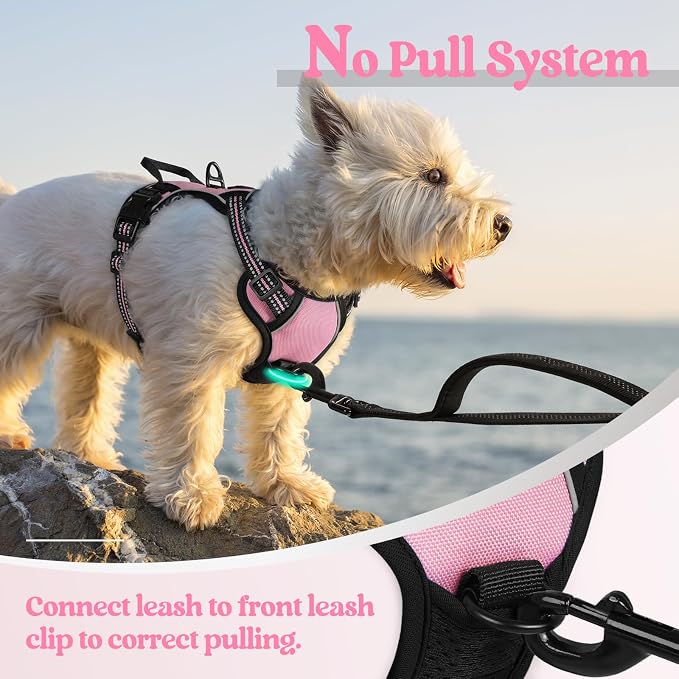 rabbitgoo Dog Harness No Pull with 2 Leash Clips, Adjustable Soft Padded, Reflective Oxford No Choke Pet Vest with Easy Control Handle for Puppy, Pink, XS | No Choke with Handle, Adjustable Soft Padded, Reflective, Easy Control for Walking, Pink, X-Small - Image 5
