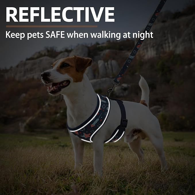 PUPTECK Small Dog Harness and Leash Set No Pull for XS XXS Sized Dogs Puppy | Escape Proof No Choke Pet Cat Adjustable Soft Padded Walking Vest - Image 6