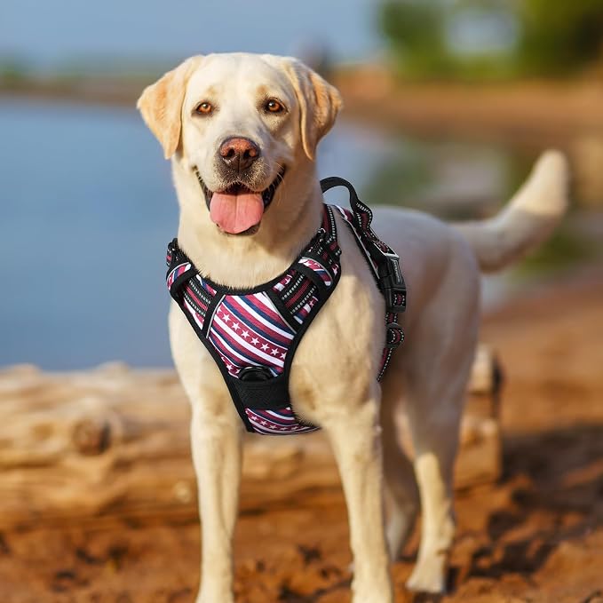 rabbitgoo Dog Harness, No Pull for Small Dogs with 2 Leash Clips, Pet Vest | No Choke with Handle, Adjustable Soft Padded, Reflective, Easy Control for Walking, Red Stripe, Small - Image 8